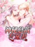 神秘总裁专宠妻傅觅