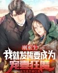 刚重生,我就发誓要成为宠妻狂魔免费阅读