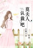 夫人莫慌3