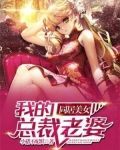我的美女总裁老婆,电视剧